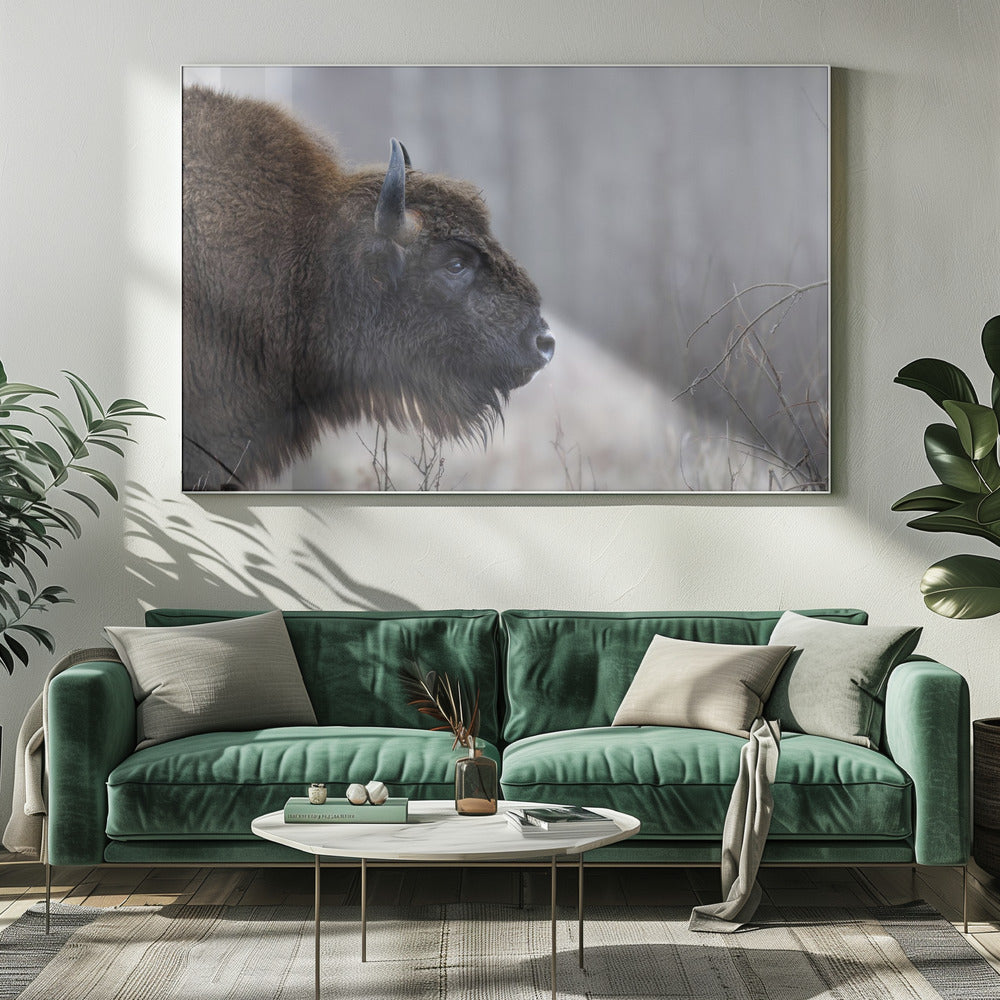 Bison's profile | Canvas