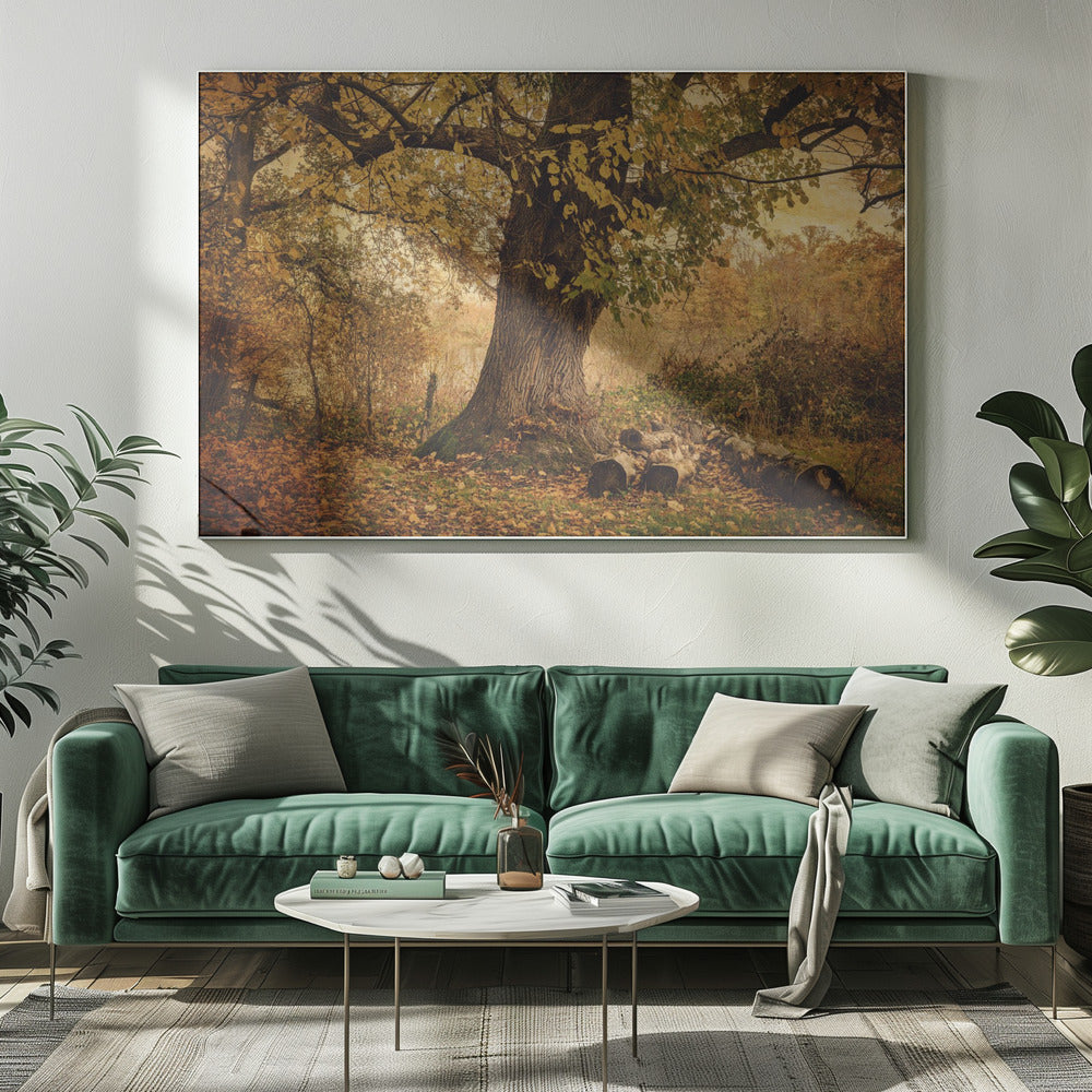 Árbol viejo | Impresiones en Lienzo