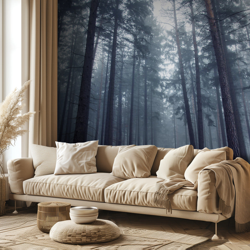 Mysterious foggy forest. | Wallpaper