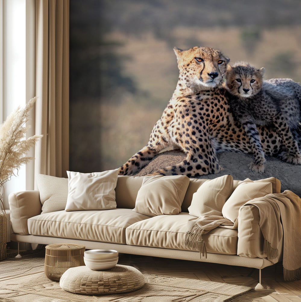 Gepard och kopp! Fototapet