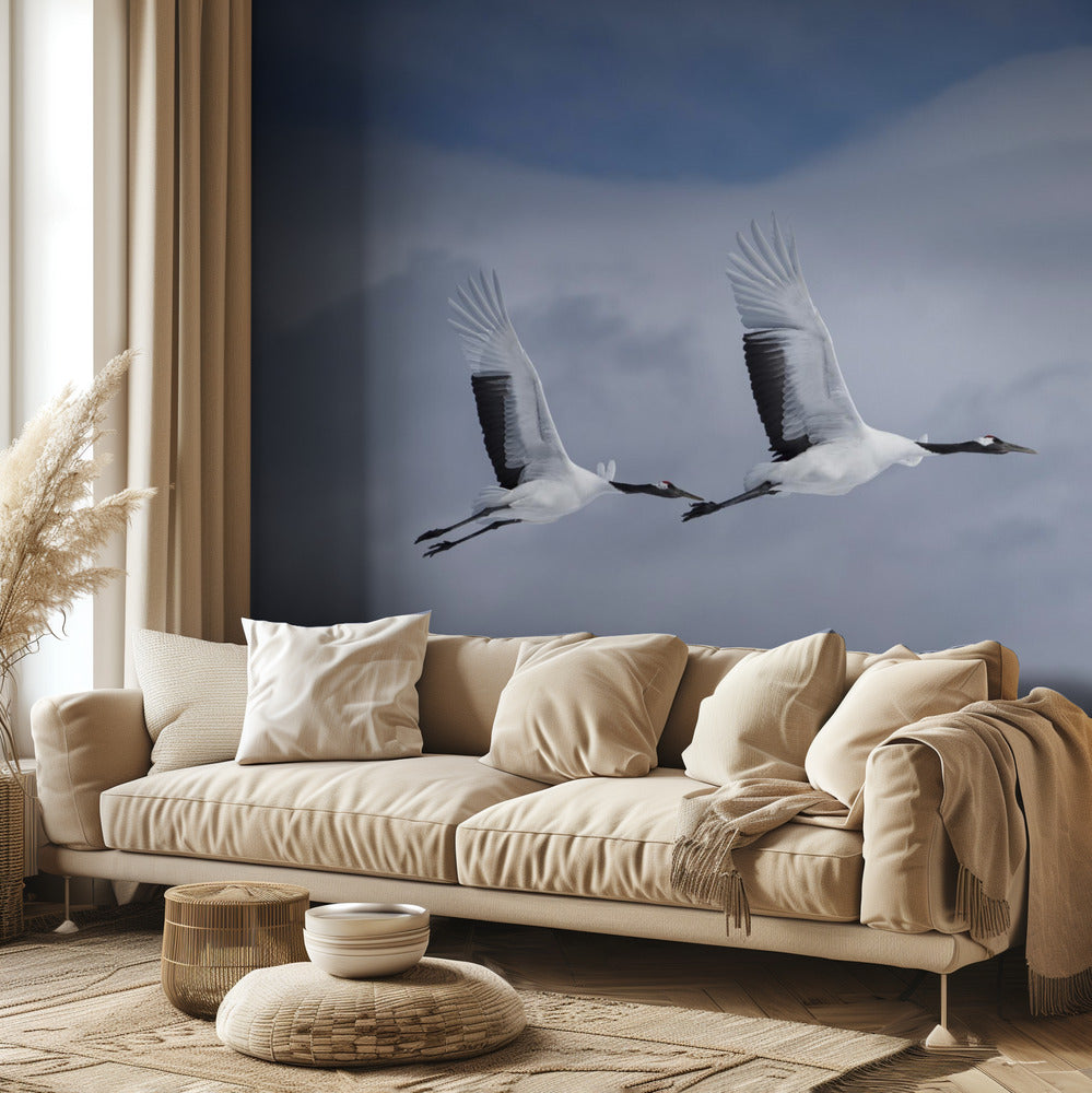 Sandhill en action | Papier Peint Photo