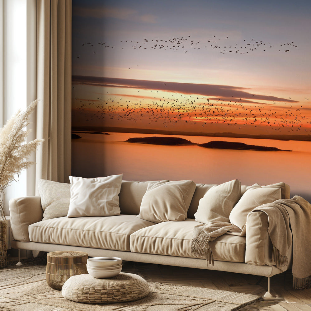ved solnedgang | Fototapet