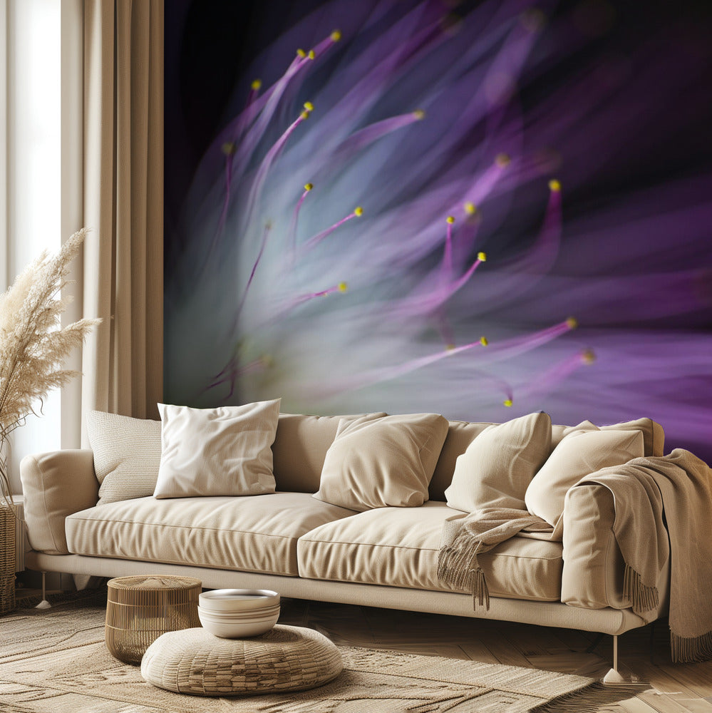Viljen-o-the-Wisp | Fototapeter