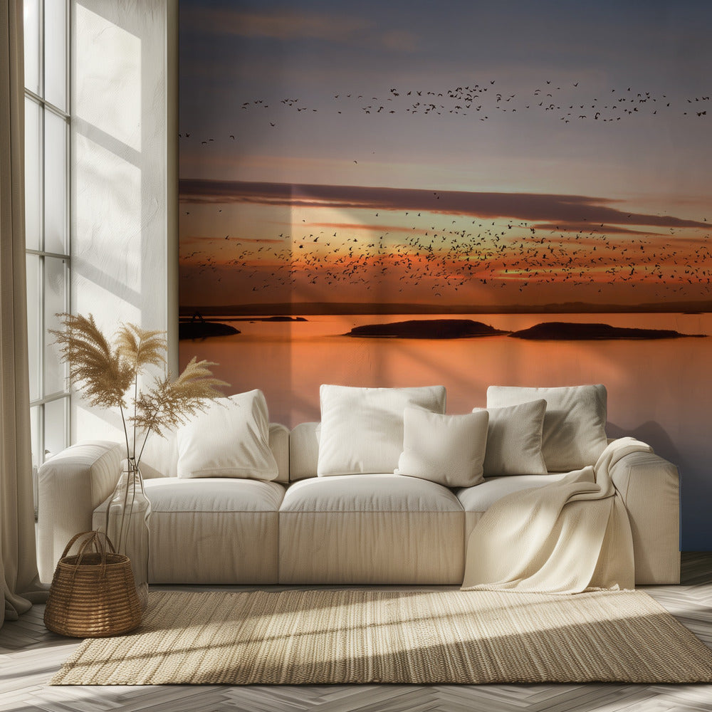 ved solnedgang | Fototapet