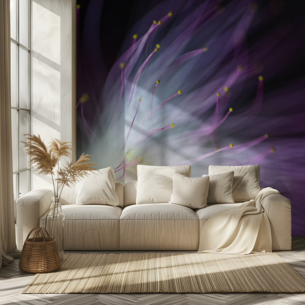 Viljen-o-the-Wisp | Fototapeter