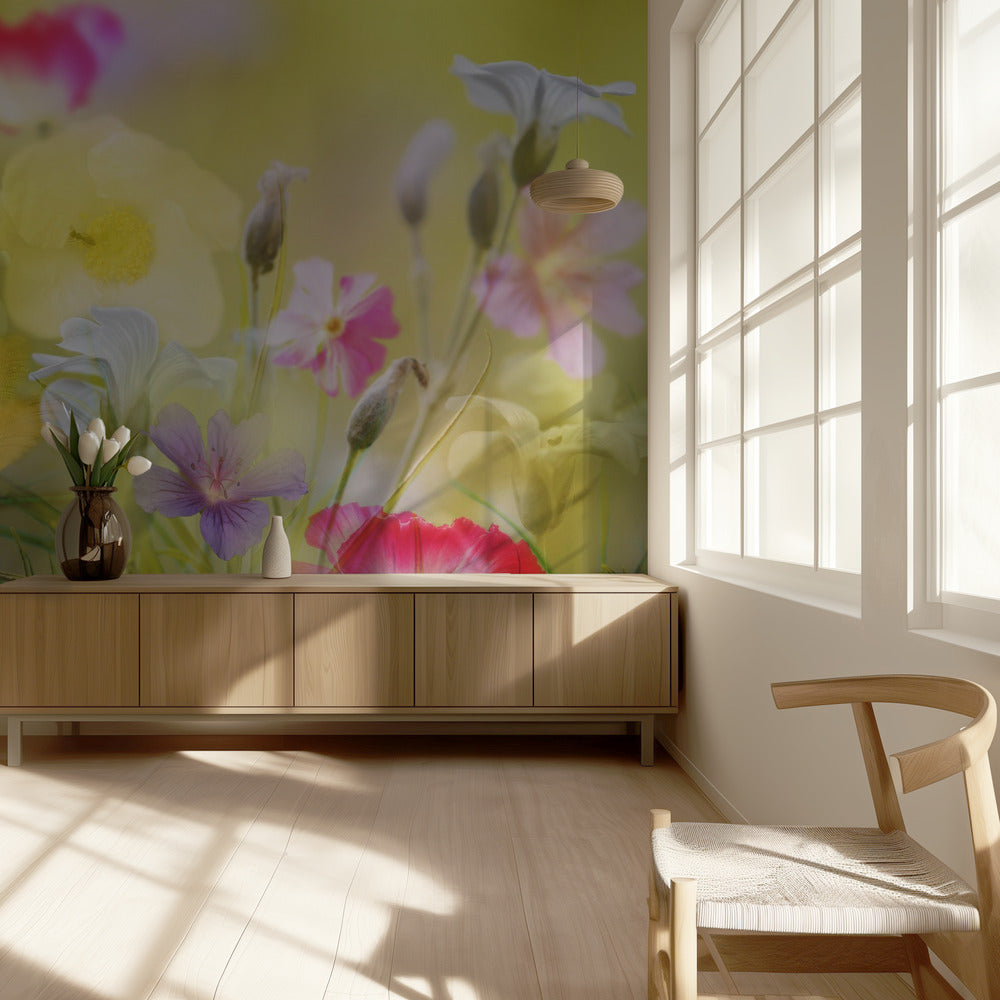 Pequeño jardín en un campo de verano | Papel Pintado Fotográfico