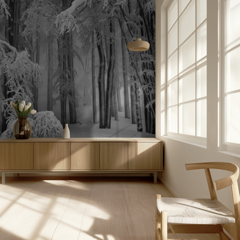 L'hiver parfait | Papier Peint Photo