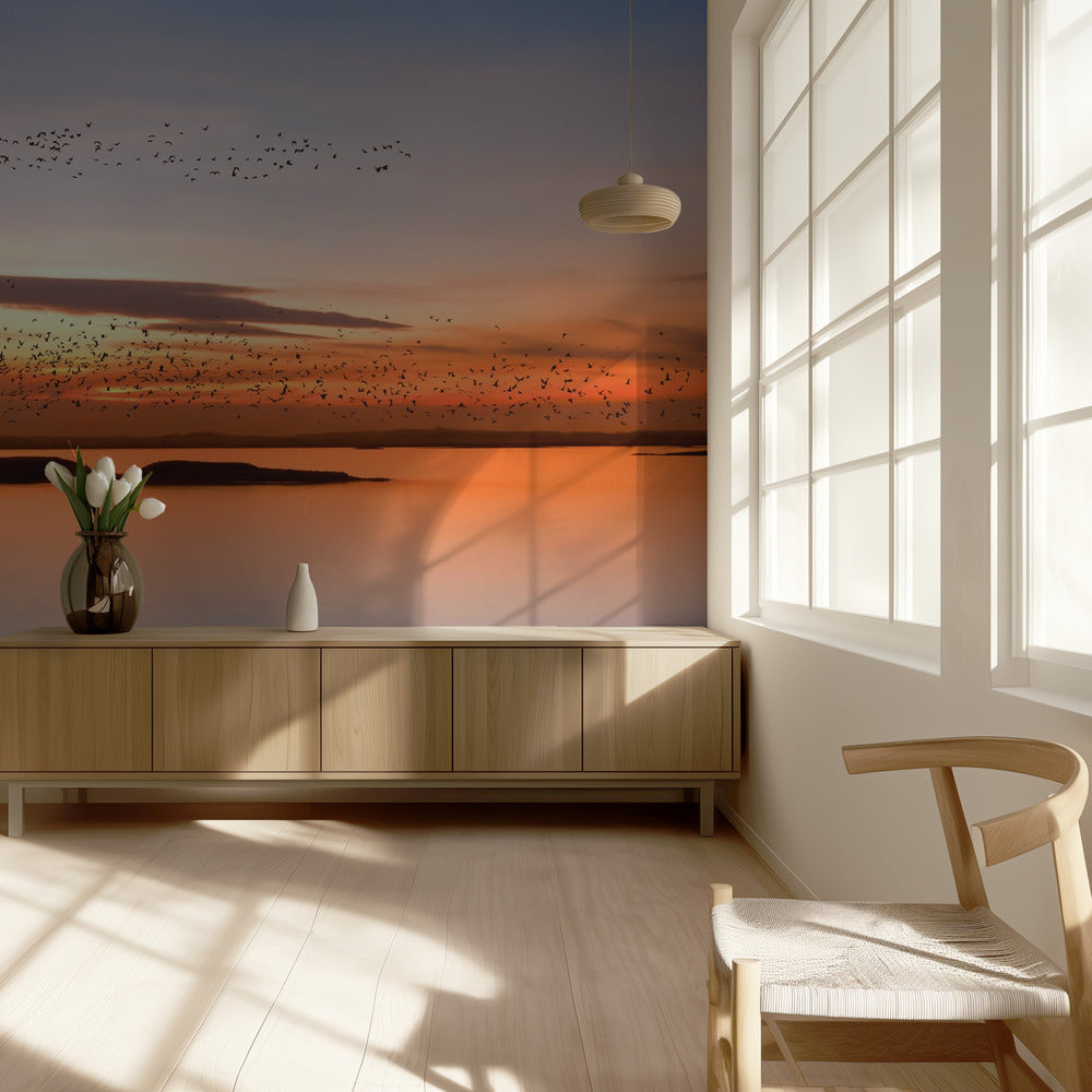 ved solnedgang | Fototapet