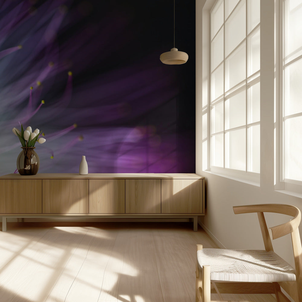 Viljen-o-the-Wisp | Fototapeter