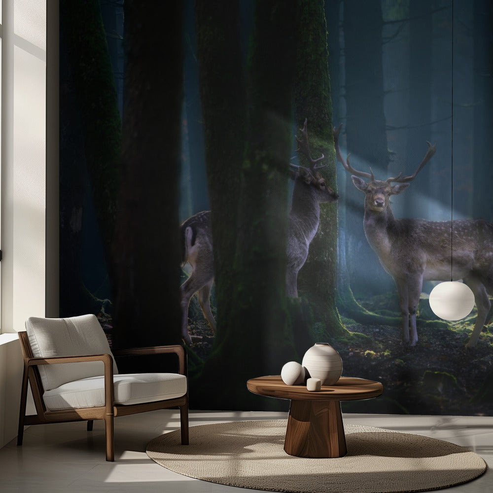 Deers | Wallpaper