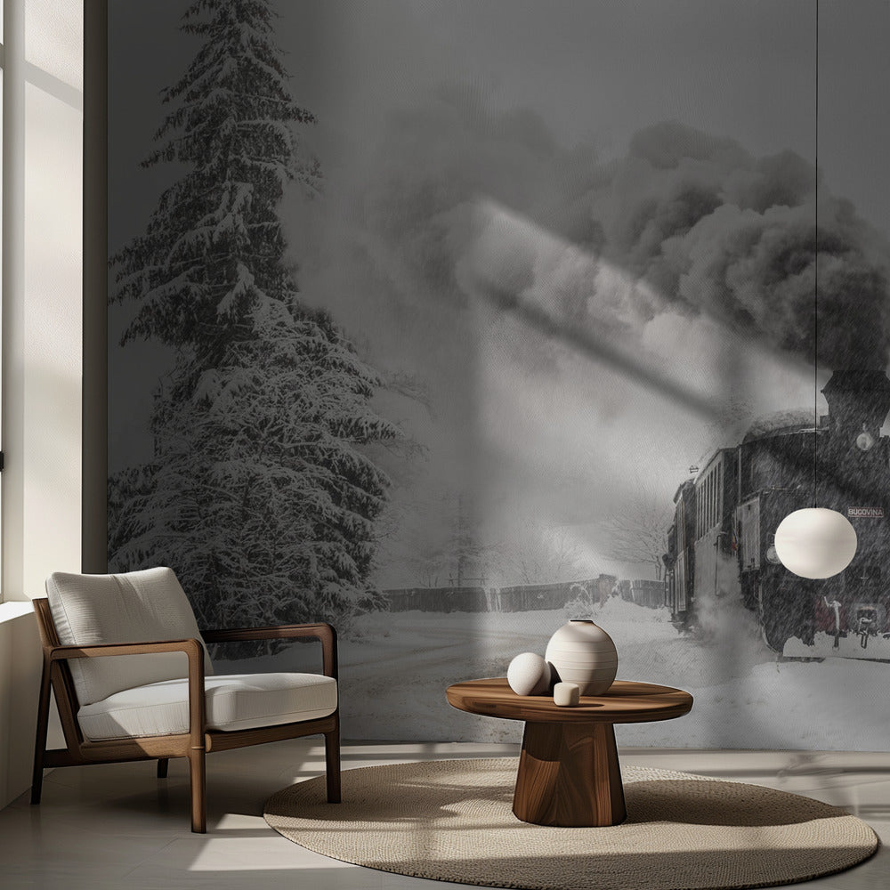 Histoire d'hiver | Papier Peint Photo
