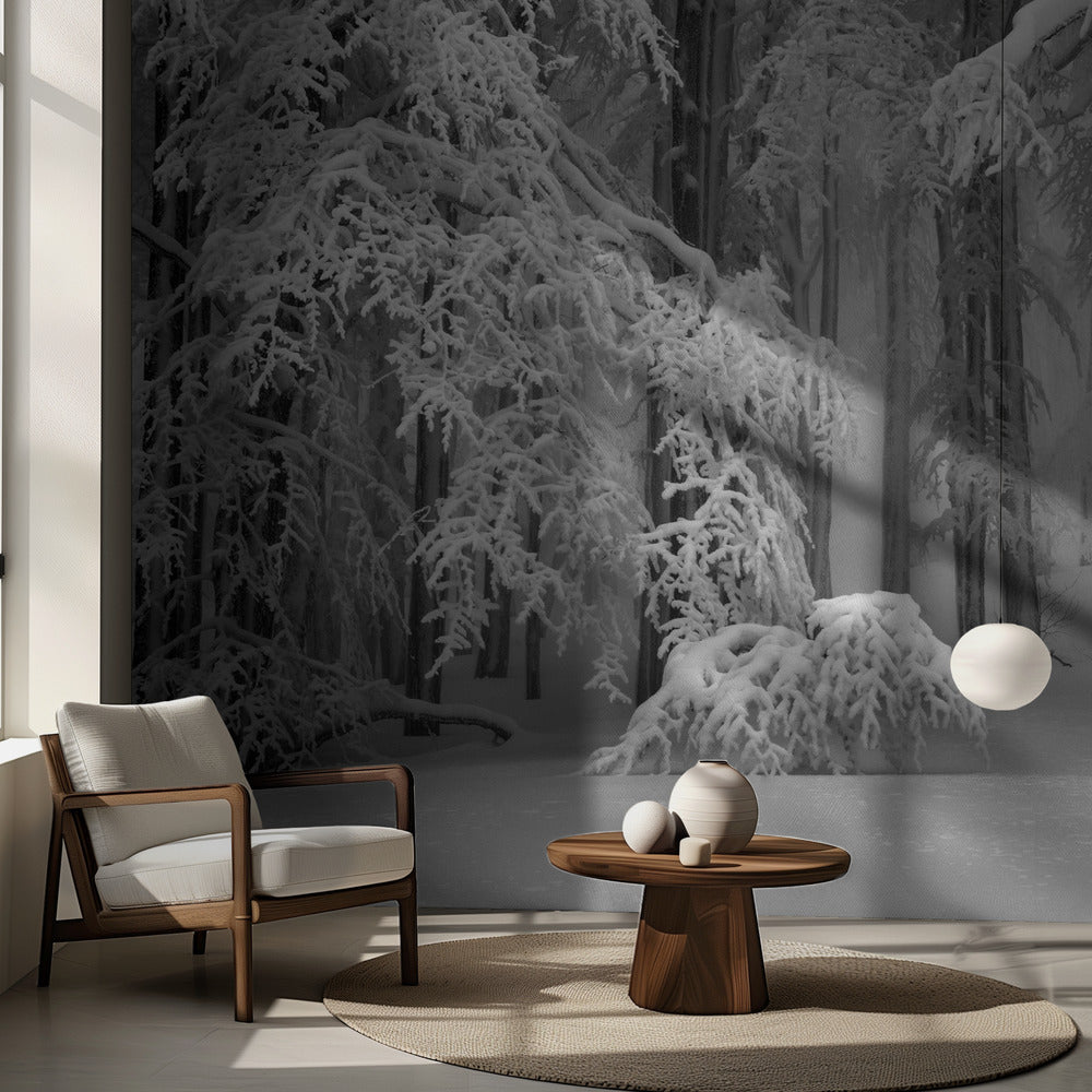 L'hiver parfait | Papier Peint Photo