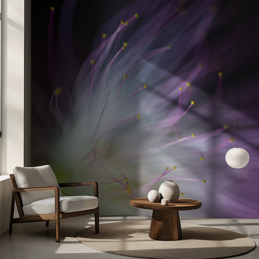 Viljen-o-the-Wisp | Fototapeter