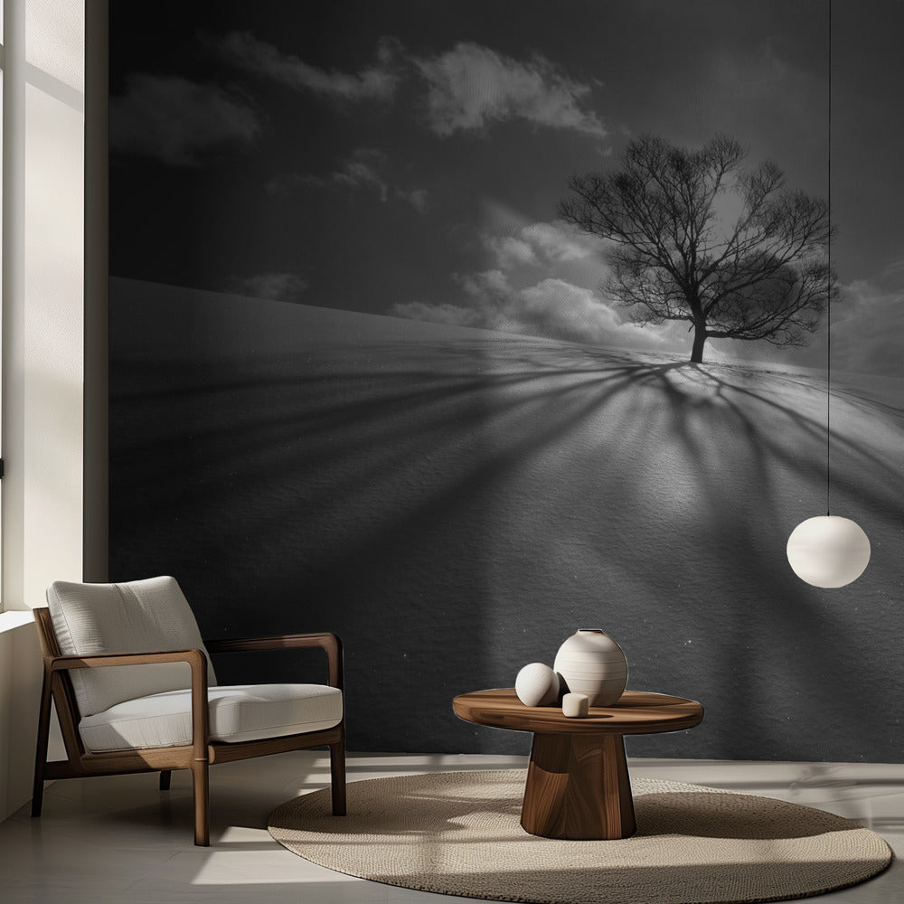 Tree Shadow | Wallpaper