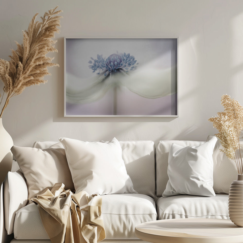 anemone Plakater - Kunsttryk