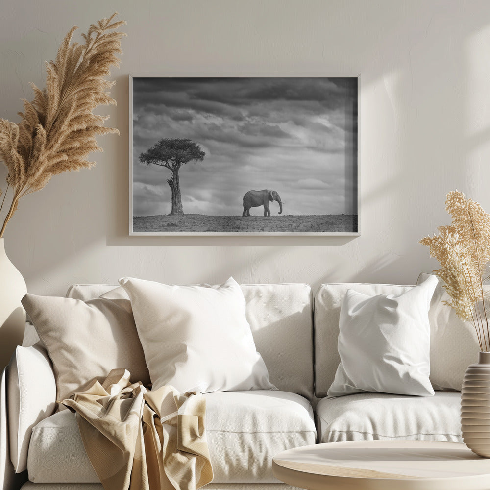 Paysage d'éléphants | Posters - Affiche Artistique