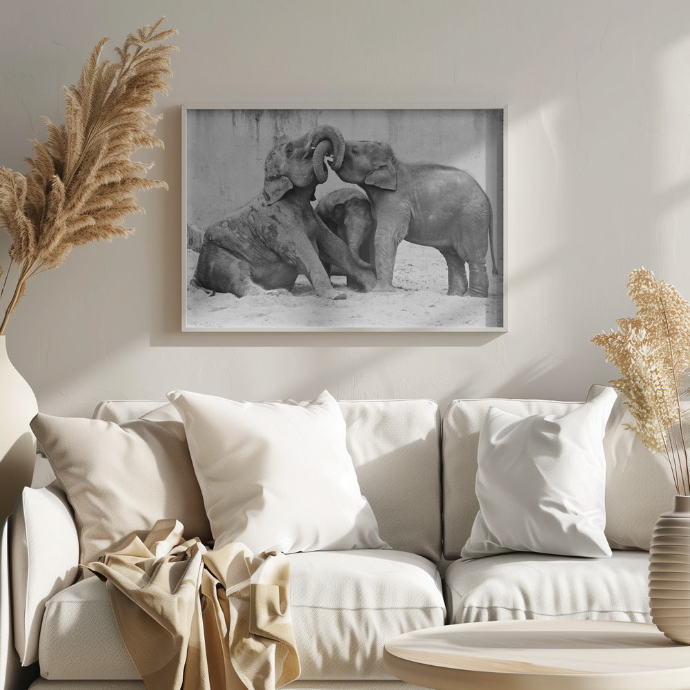 MÉNAGE À TROIS | Posters - Affiche Artistique