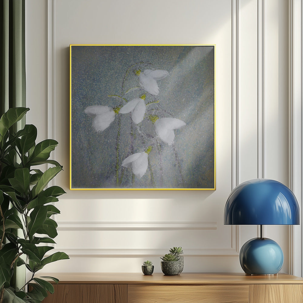 Snowdrops | Poster