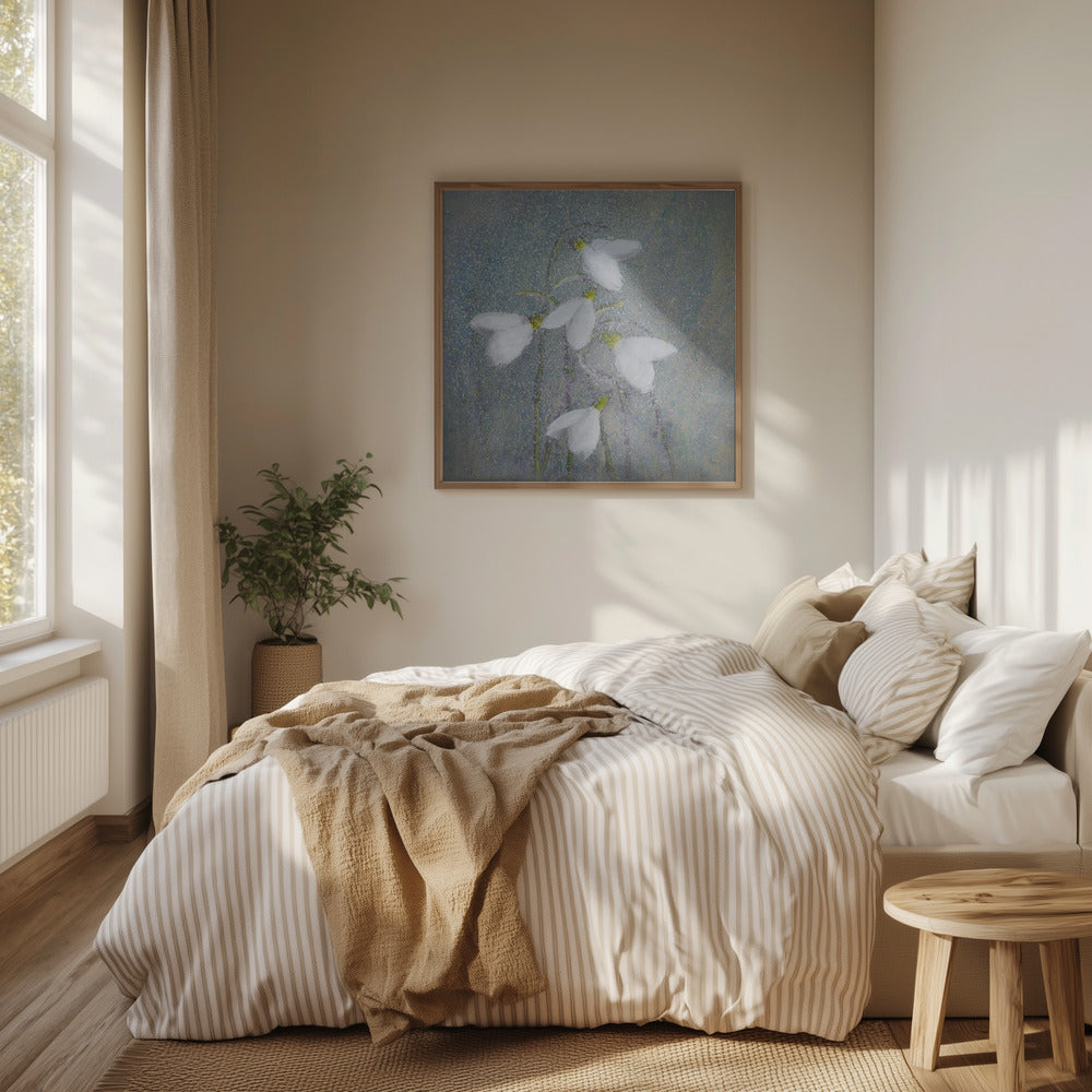 Snowdrops | Poster