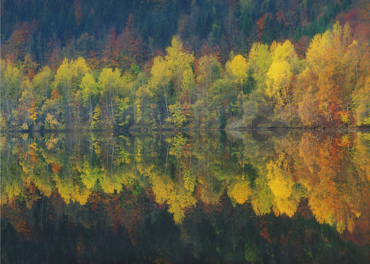 Silence automnal | Papier Peint Photo