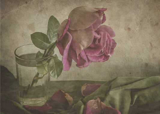 Larme de rose | Papier Peint Photo