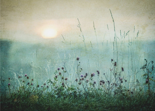 Höstsoluppgång | Fototapet
