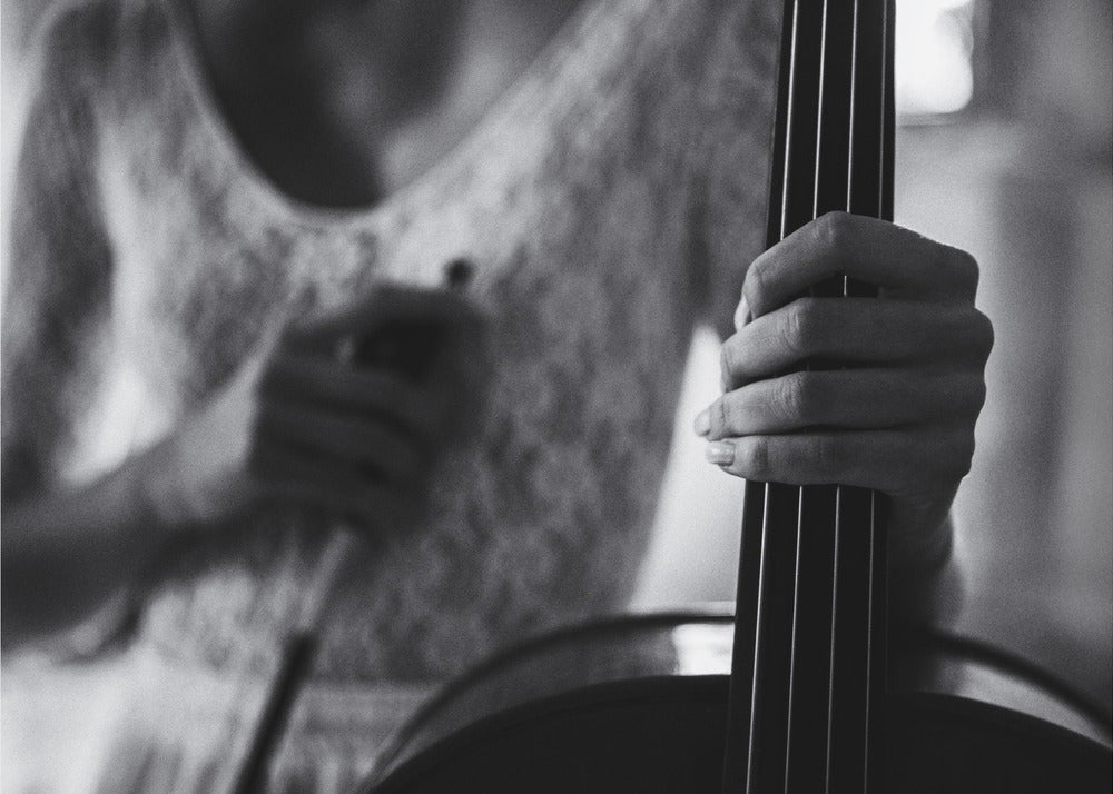 pause for celloen | Lerretsbilder