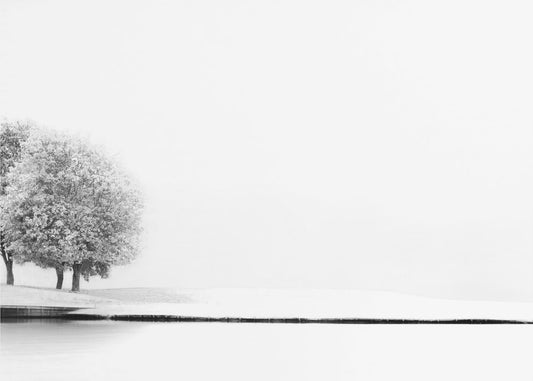 Vereint #2 | Leinwand-Bilder