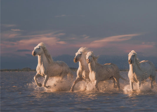 Les Anges de Camargue | Papier Peint Photo