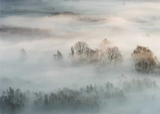 Vinterdimma | Fototapet
