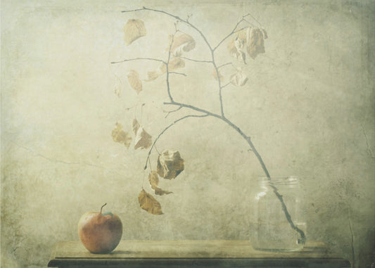 The Little Caterpillar | Poster