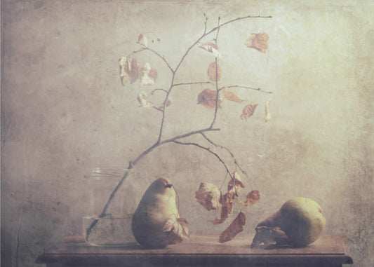 The Dead Leaves | Poster