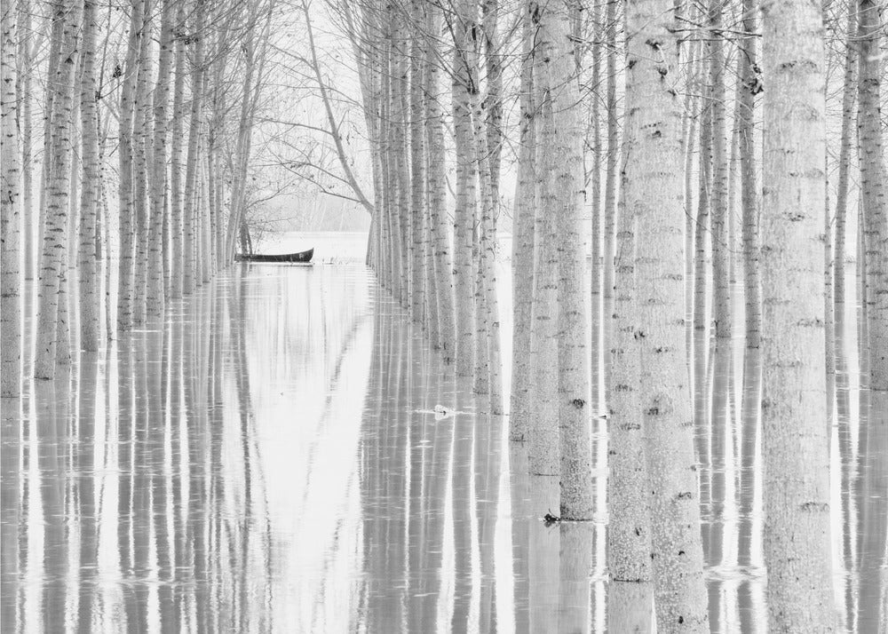 Libre circulation | Papier Peint Photo