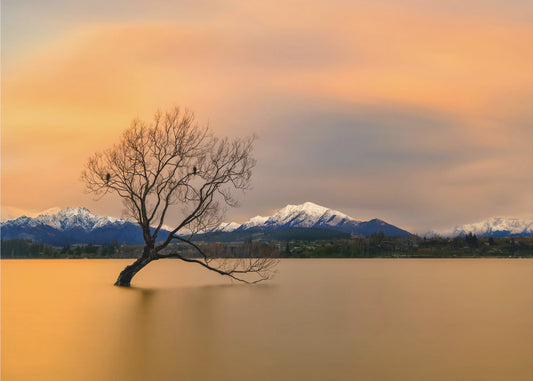 Bagliore mattutino sul lago Wanaka | Carta da Parati Fotografica