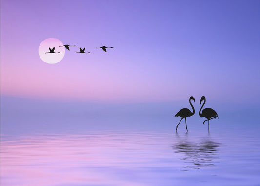 Flamant rose volant | Papier Peint Photo