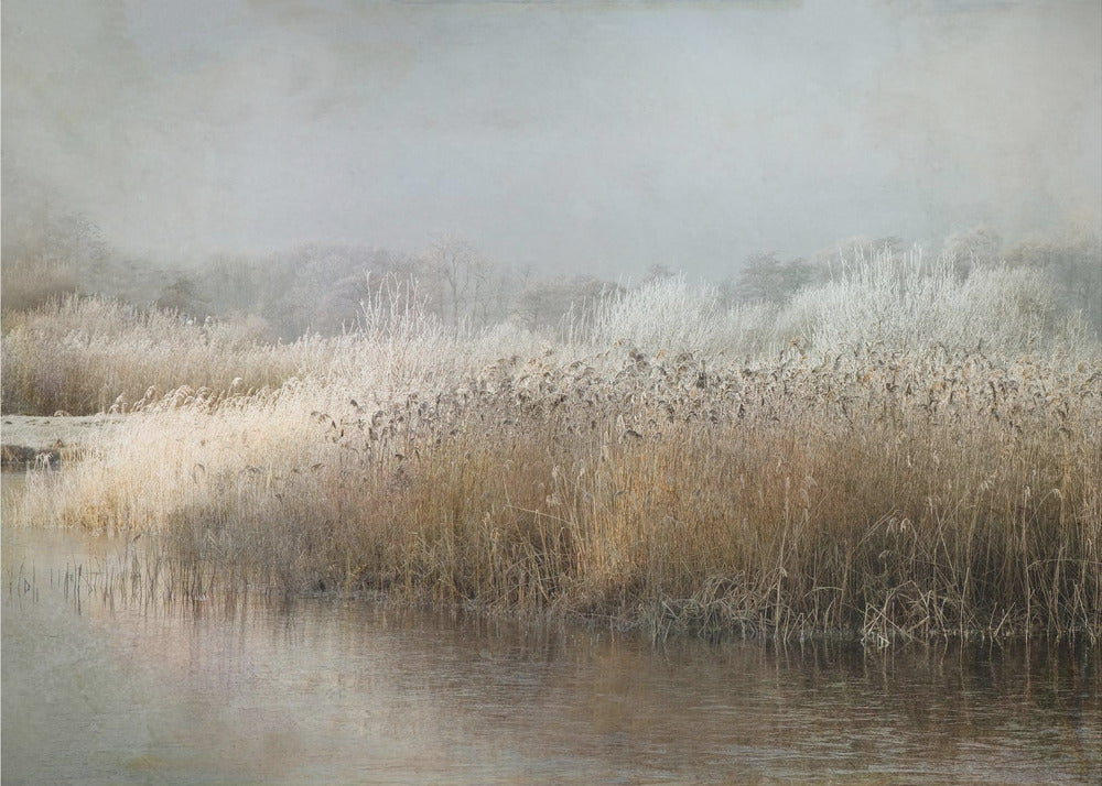 Wintermorgen | Fototapeten