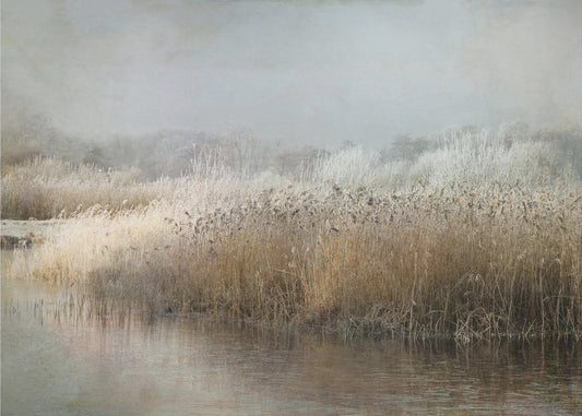 Matin d'hiver | Papier Peint Photo