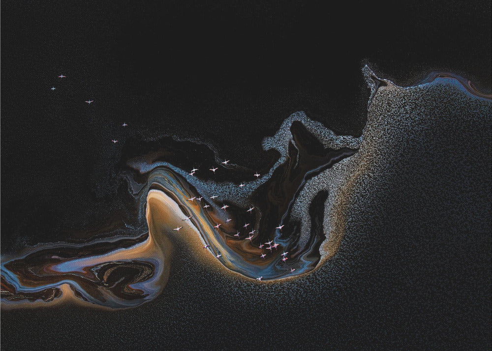 Flamant rose sur le lac | Papier Peint Photo