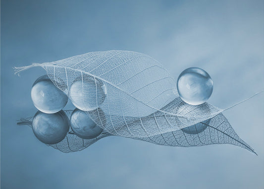 Feuille sèche et bulles | Papier Peint Photo