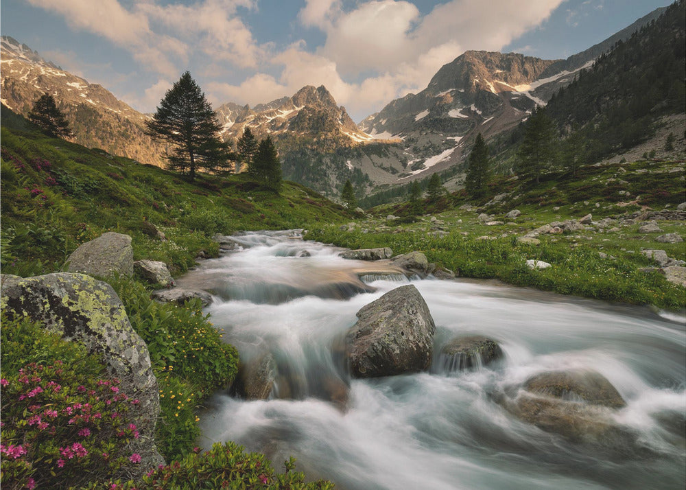 Seealpenpark | Fototapeten