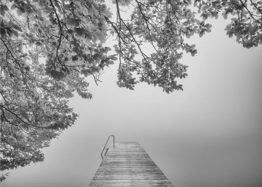 ljudet av tystnad | Fototapet