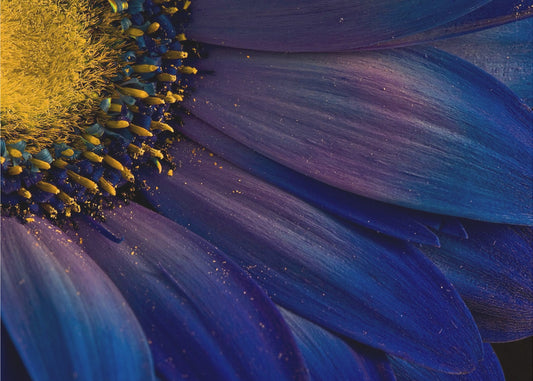 Raggi Blu | Poster - Stampe d’Arte