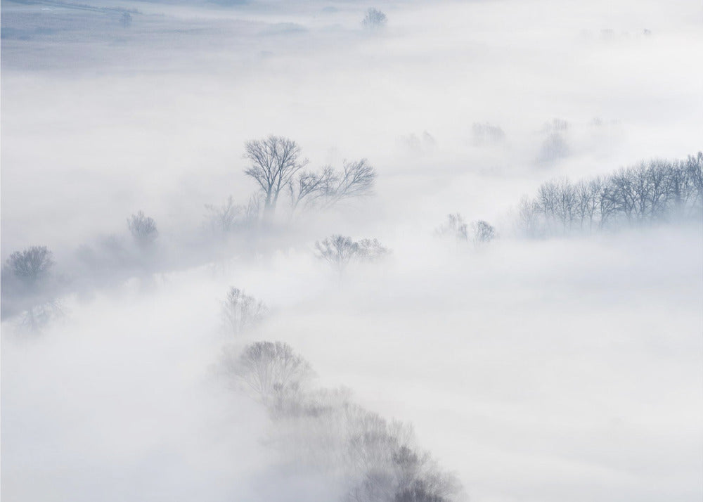 Vinter | Fototapeter
