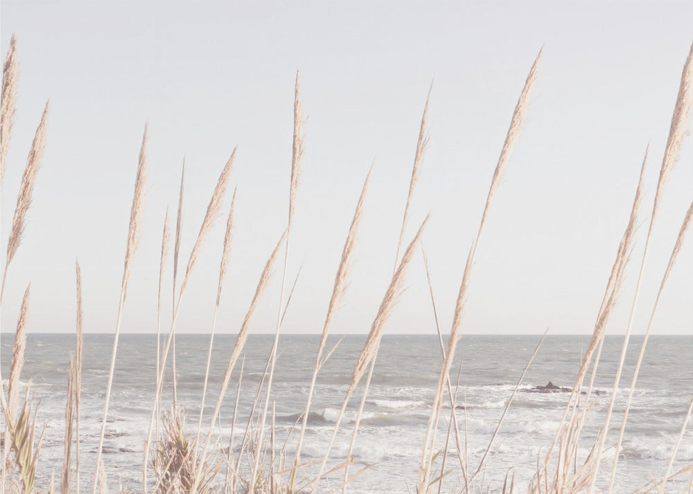 Strand_Vass_002 | Canvas