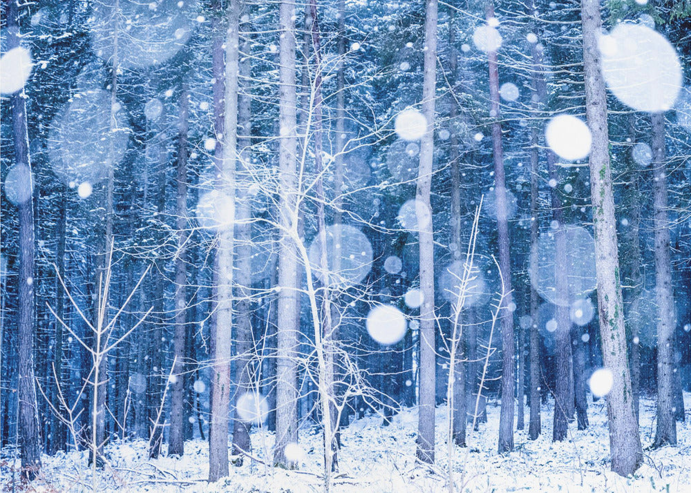 Paesaggio innevato | Carta da Parati Fotografica