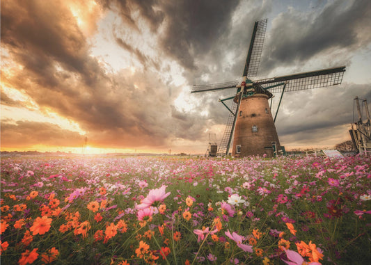 Magnifique monde de fleurs | Tableaux sur Toile