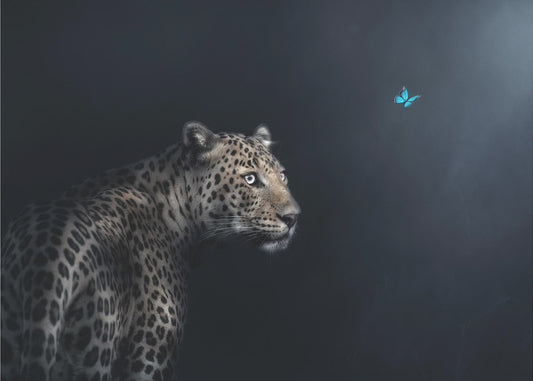 Imagination | Papier Peint Photo
