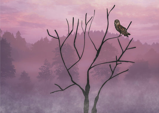 Ciel rose le matin | Tableaux sur Toile