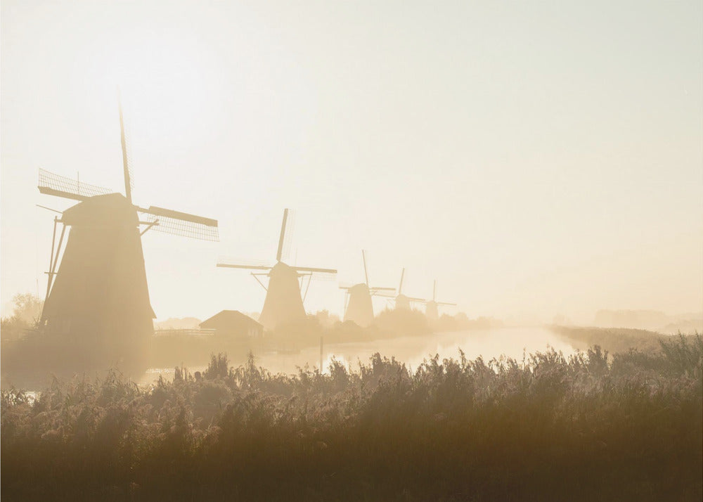 Kinderdijk | Fototapeten