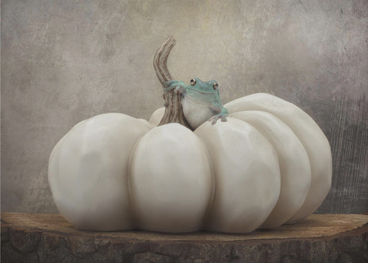 Herfstseizoen met Bleu | Posters - Kunstdrukken